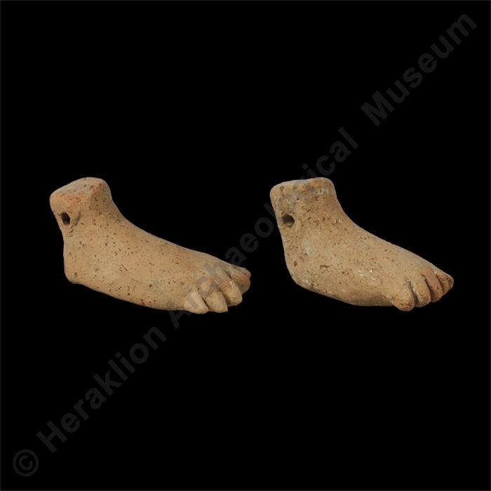 Model of human foot