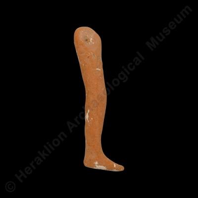 Clay human foot model